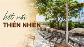/cam-nang-thiet-ke-thi-cong-van-hanh-su-dung/xu-huong-thiet-ke-quan-ca-phe-khong-gian-xanh-biophilic-don-dau-2026